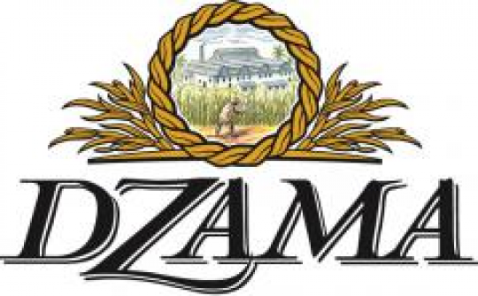 dzama-logo-nouveau