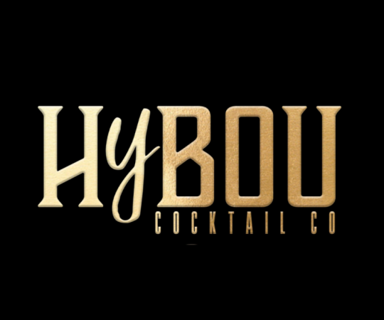 logo-hybou-540-450-45-58981
